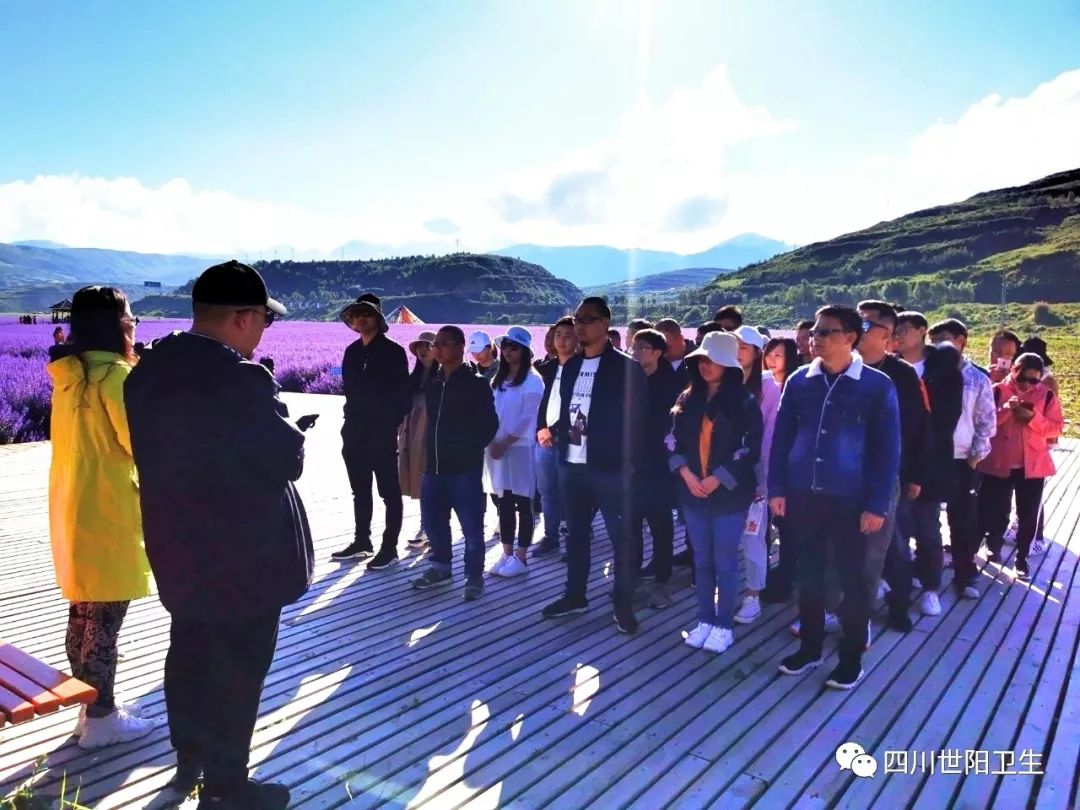 【团建回顾】世阳射雕英雄传之团队大作战