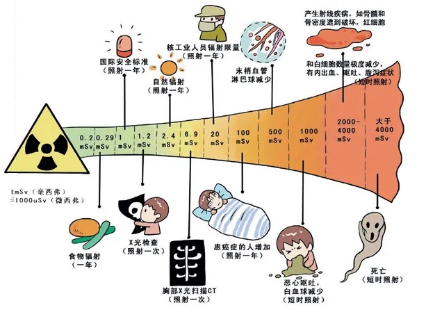 世阳小课堂开课啦——电离辐射、健康影响和保护措施