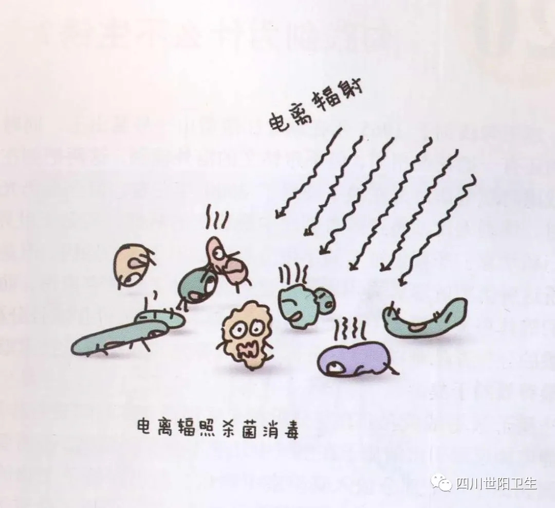 关于辐照食品你了解多少？